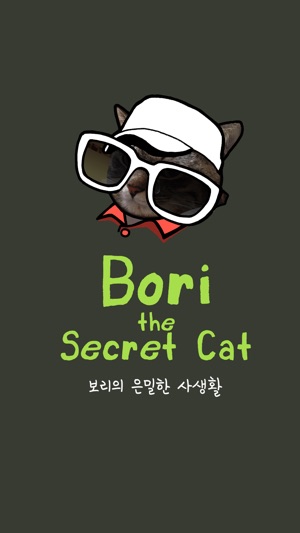 Bori The Secret Cat
