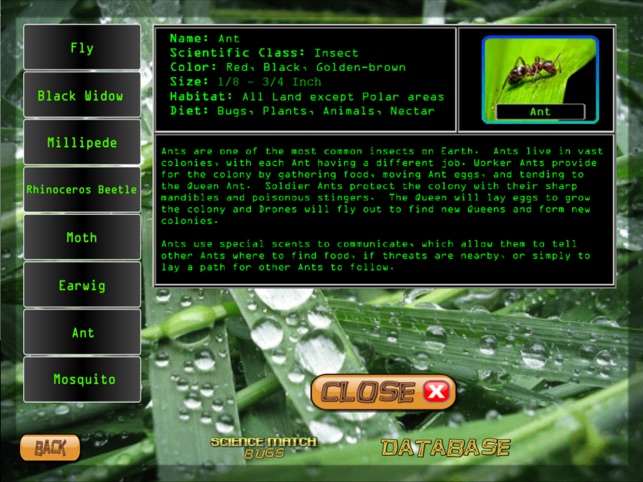 Science Match Bugs(圖4)-速報App