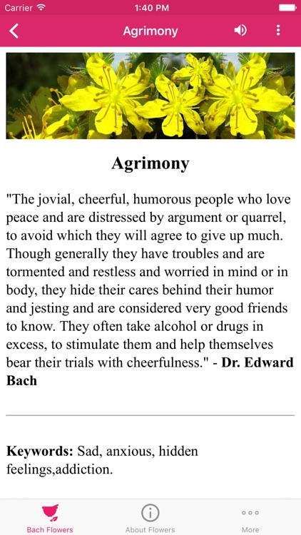 Bach Flowers Remedies