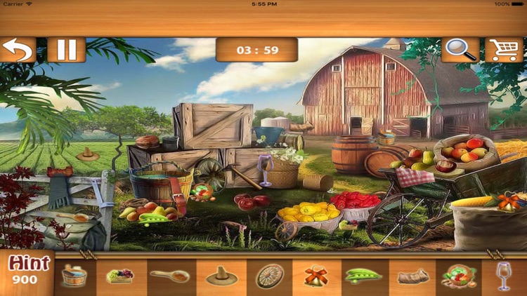 Free Hidden Objects : Backyard Hidden Object Game