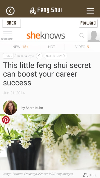 FengShui Home screenshot-4