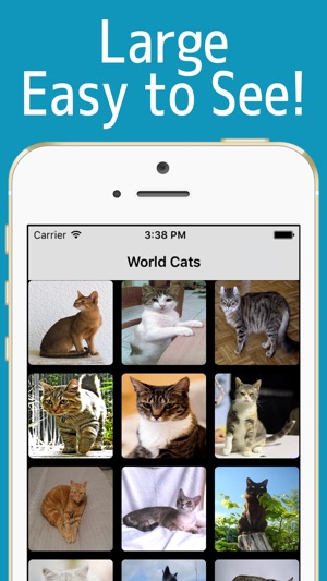 World Cats!(圖2)-速報App
