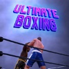 Ultimate Boxing Game - Fight Your Enemy