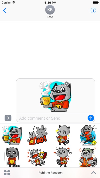 Rubi the Raccoon