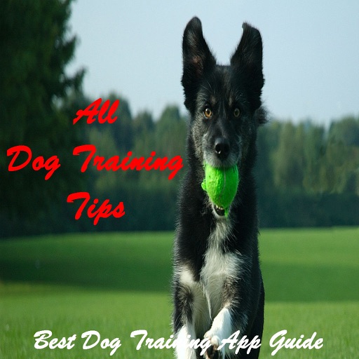 All Dog Training Tips HD icon