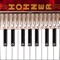 The Hohner MIDI Piano Accordion is a piano accordion-style CoreMIDI control surface for the iPad