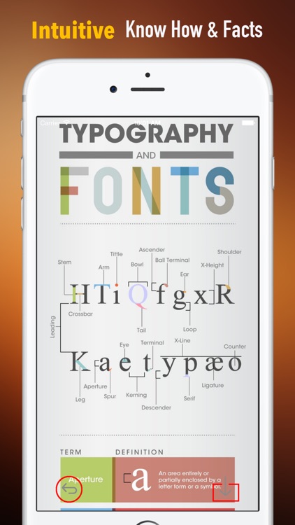 Typography Tips:Style Guide and Elements