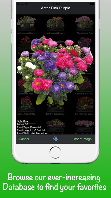 iScape Lite Landscape Designs screenshot-4