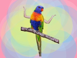Know anyone that would enjoy seeing some birds with human arms