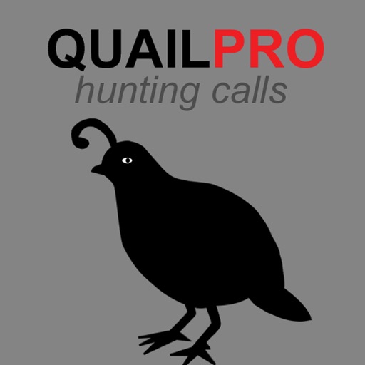 REAL Quail Sounds and Quail Hunting Calls HD iOS App