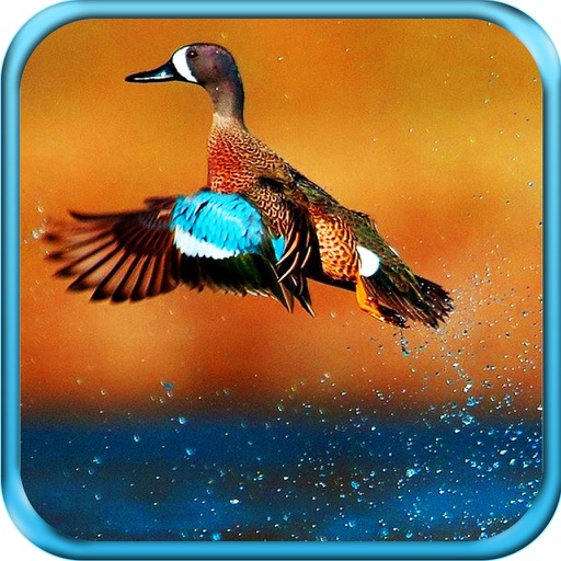 Great Duck Hunting Pro icon