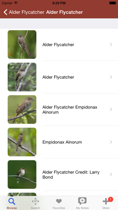 How to cancel & delete 2000 Bird Species with Guides from iphone & ipad 3