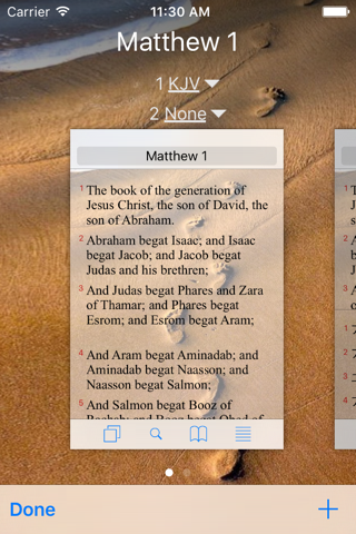 Bible Utility Lite screenshot 4