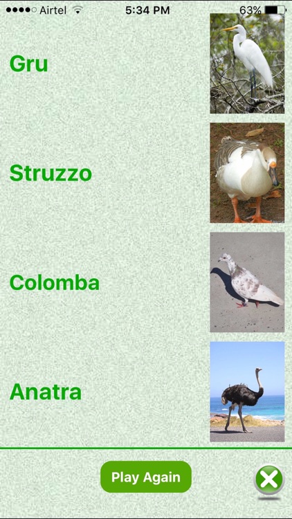 Flashcards Italian Lesson screenshot-4