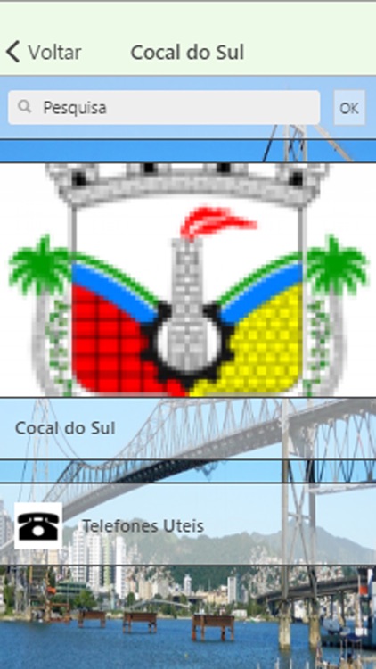 RC SANTA CATARINA screenshot-3