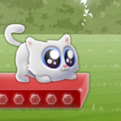 Tumble cat icon