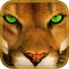 3D Mountain Lion Simulator - Hunting & Attack Sim