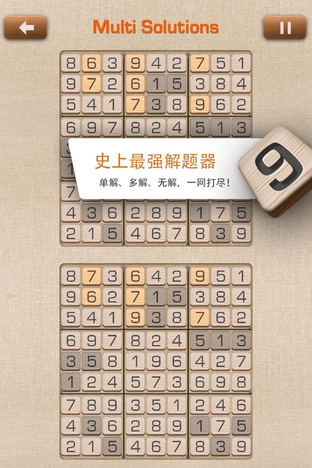 Sudoku Terminator screenshot 4