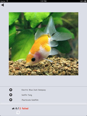 Fish Collection screenshot 4