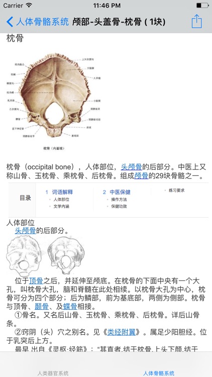 人类器官系统|人体骨骼构造大全 screenshot-4
