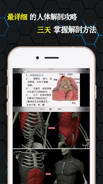 人体解剖和生理学-解剖图谱生物学考试必备