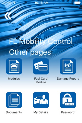 FL Mobility Control screenshot 4