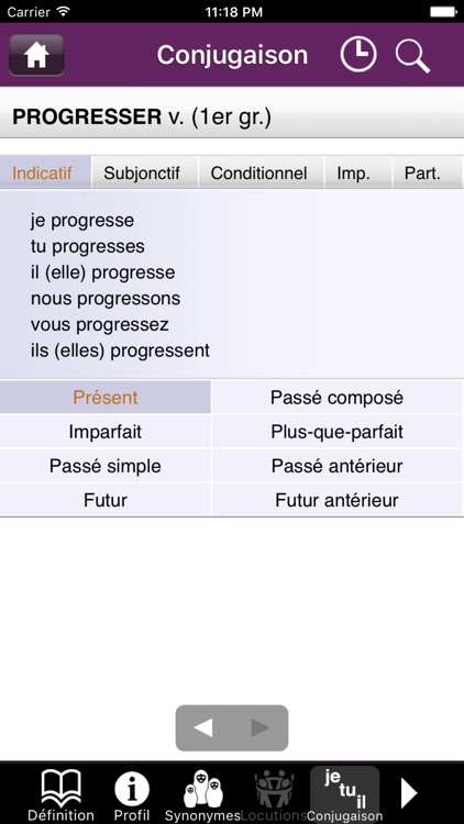French dictionary DIXEL Mobile screenshot-3