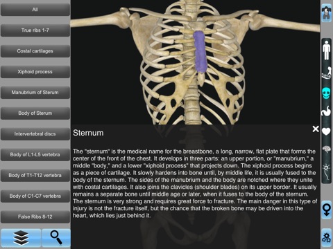 Human Anatomy Pro 3D screenshot 2