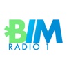 BIM Radio 1