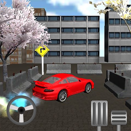 Car Parking Real 3D Icon