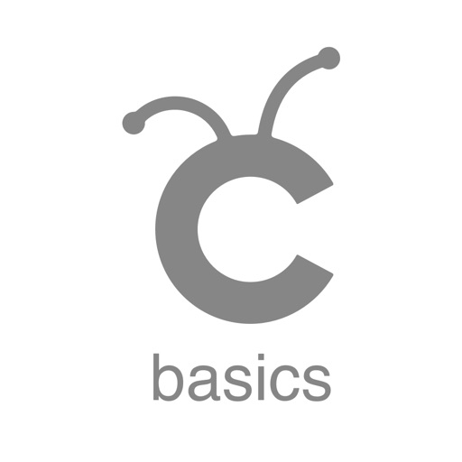 Cricut Basics