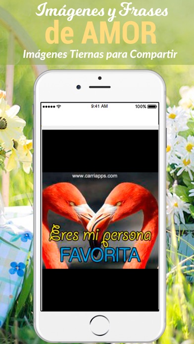 How to cancel & delete Imagenes y Frases de Amor para Enamorar from iphone & ipad 4