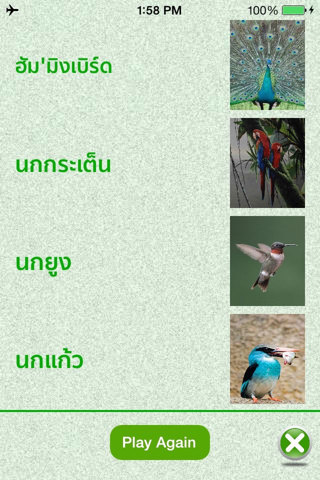 FlashCards Thai Lesson screenshot 4