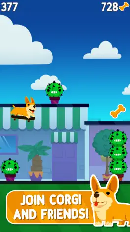 Game screenshot Corgi Pro Skater apk