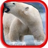 Polar Bear Hunt