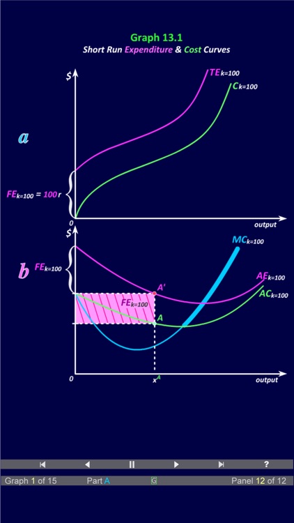 Duke Micro Econ Chapter 13