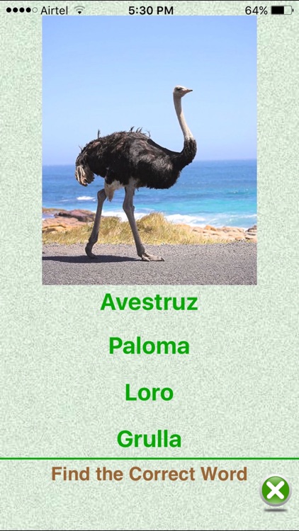 Flashcards Spanish Lesson screenshot-3