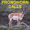 Pronghorn Hunting Calls & Big Game Calls