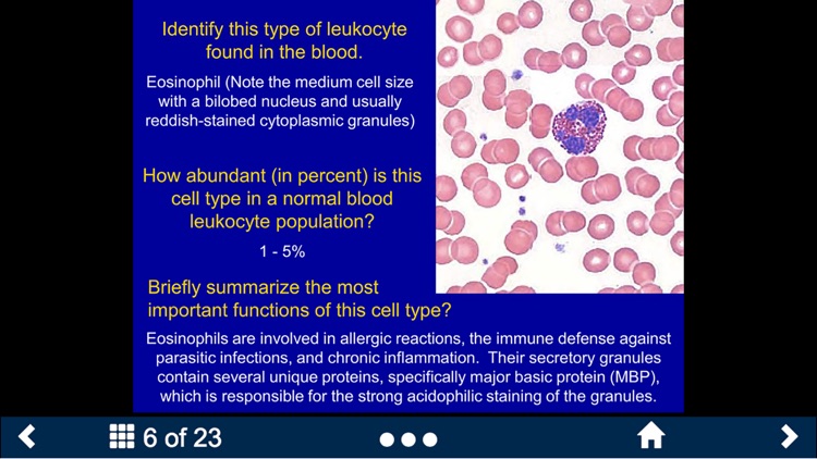 Histology - Cardiovascular and Lymphatic System