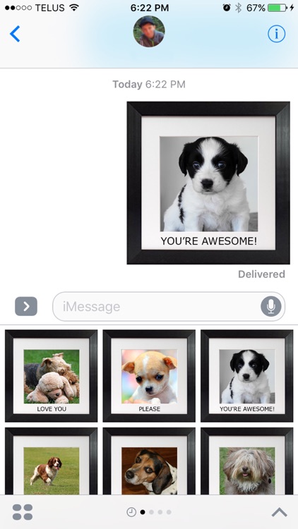 Puppy Chat