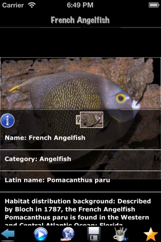 Fish Wiki screenshot 3