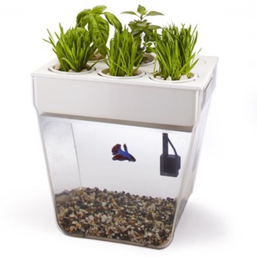 Aquaponics System for Beginner:Tips and Tutorial icon