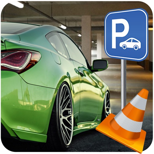 Real Car Parking Driver 3D