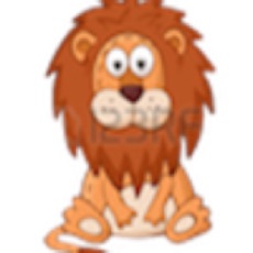 Activities of Hunt Lion 2017