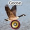 Real Goose Hunting Calls & Sounds