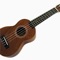 The Ukulele is a fun and relatively cheap instrument