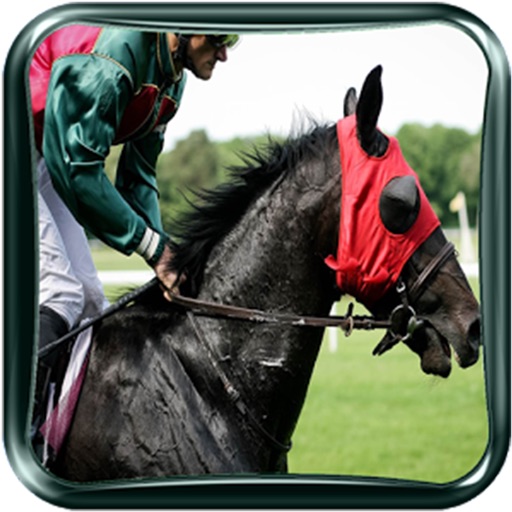 Wild Horse Jump Game iOS App