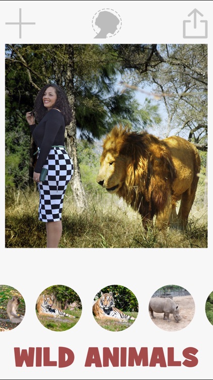 Animals photomontage with cut and paste photos