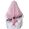 Abu Walaa