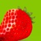 Calorie restriction (CR) is a diet that reduces calories and increases maximum life span of many species